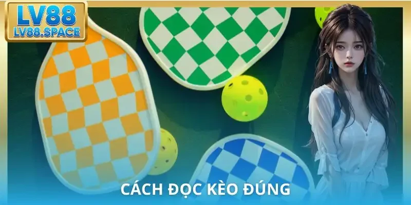 ca-cuoc-pickleball-cach-doc