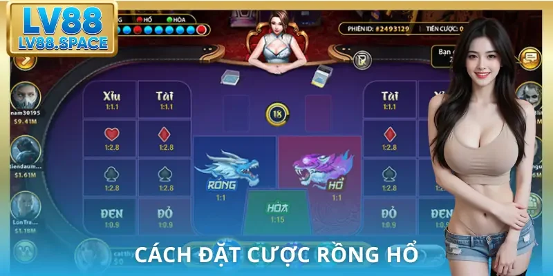 cach-choi-rong-ho-cach-dat-cuoc