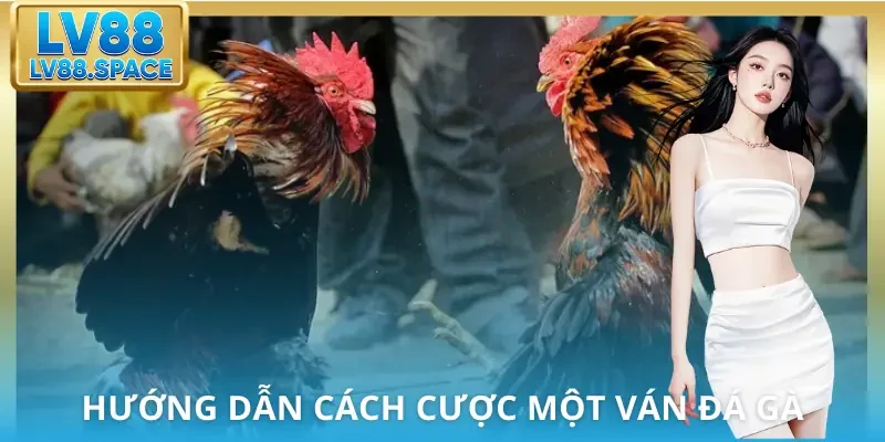 da-ga-lv88-huong-dan