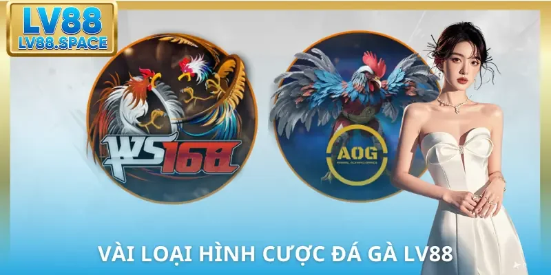 da-ga-lv88-loai-hinh