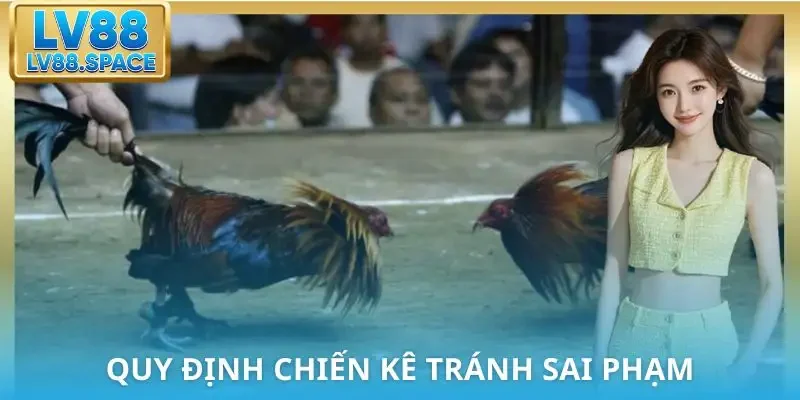 luat-da-ga-mien-nam-quy-dinh-ve-chien-ke